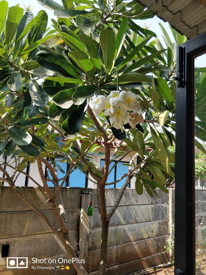Chalet Casa Amor, Perfect Home Amidst Tranquility Karjat Exterior photo
